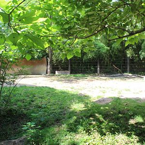 Black Rhino & Sacred Ibis Exhibit - Rivers Edge