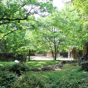 Black Rhino & Sacred Ibis Exhibit - Rivers Edge