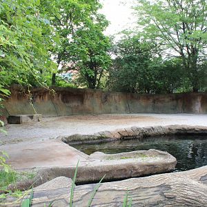 Hippo Exhibit - Rivers Edge