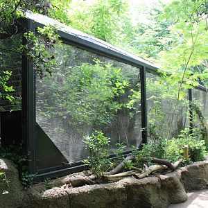 Kenyan Crested Guineafowl & Red-billed Hornbill Aviary - Rivers Edge