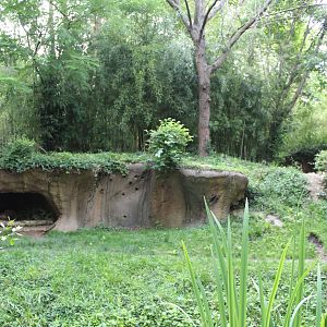 Spotted Hyena Exhibit - Rivers Edge