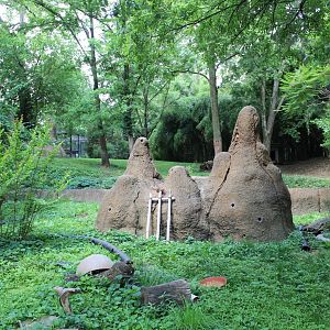 Dwarf Mongoose Exhibit - Rivers Edge