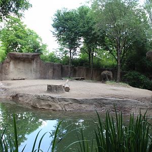 Asian Elephant Exhibit #1 - Rivers Edge
