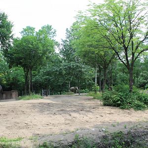 Asian Elephant Exhibit #2 - Rivers Edge