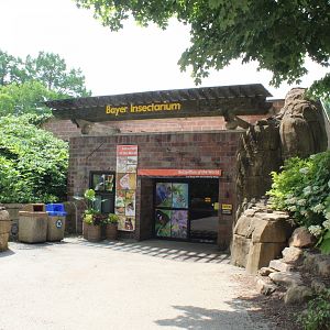 Bayer Insectarium