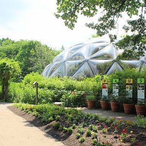 Butterfly Dome - Bayer Insectarium