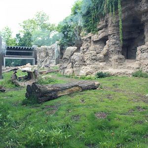 Grizzly Ridge (Grizzly Bear Exhibit)