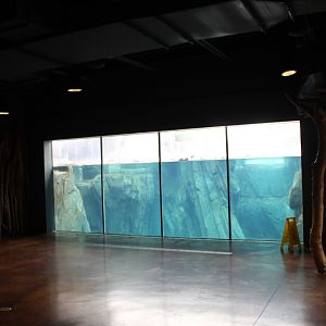 Polar Bear Point (Polar Bear Underwater Viewing)