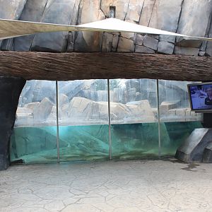 Polar Bear Point (Polar Bear Underwater Viewing)