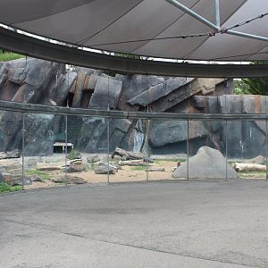 Polar Bear Point (Polar Bear Exhibit)