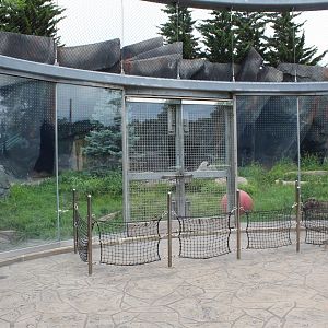 Polar Bear Point (Polar Bear Exhibit)
