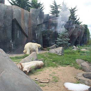 Polar Bear Point (Polar Bear Exhibit)