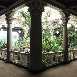 Central Garden - Herpetarium