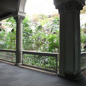 Central Garden - Primate House