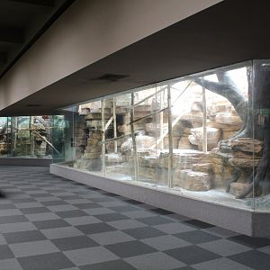 Overview - Primate House