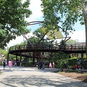 Primate Canopy Trails