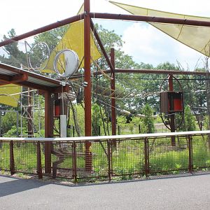 Fourth Rotational Exhibit (Coquerel's Sifaka) - Primate Canopy Trails