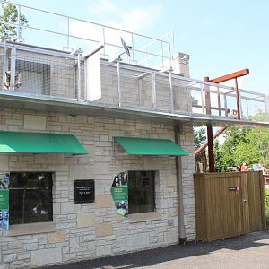 Secondary Primate Building (with Coquerel's Sifaka) - Primate Canopy Trails