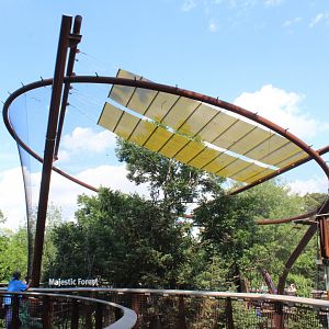 Majestic Forest (Black-handed Spider Monkey) - Primate Canopy Trails