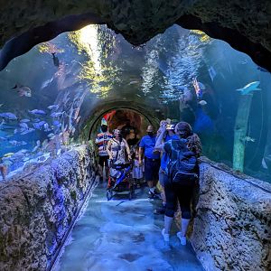 180 Tunnel Pacific Ocean