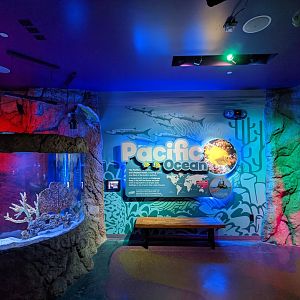 Pacific Ocean graphics