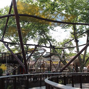 Conservation Canopy (Francois' Langur & Spectacled Langur) - Primate Canopy Trails