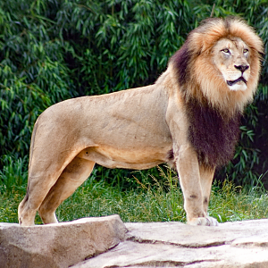 Jun. 2022 - Africa - John