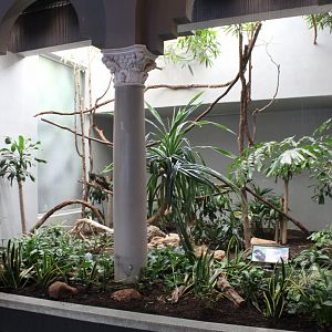 Spectacled Owl Exhibit - Bird House