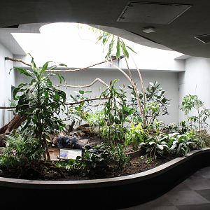 Victoria Crowned Pigeon Exhibit - Bird House