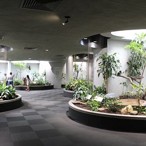 General Overview - Bird House