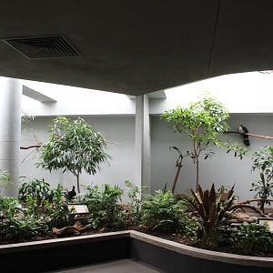 Horned Guan Exhibits - Bird House