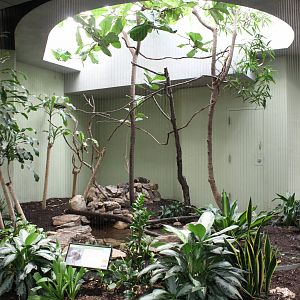Sunbittern Exhibit - Bird House