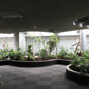 General Overview - Bird House