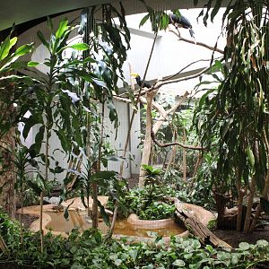 Rhinoceros Hornbill Exhibit - Bird House