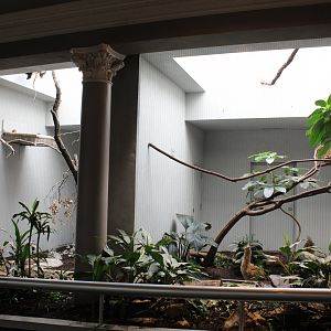 King Vulture and Red-legged Seriema Exhibits - Bird House