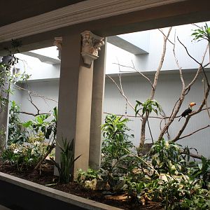 Toco Toucan Exhibit - Bird House