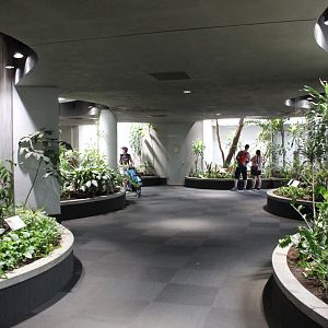 General Overview - Bird House