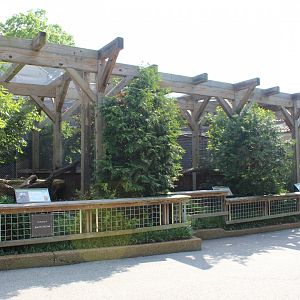 Bird of Prey Aviaries (Bald Eagle, Cincerous Vulture, Barred Owl)