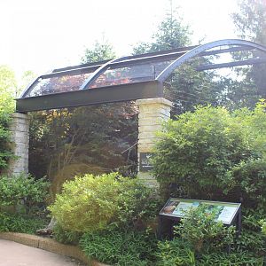 Cabot's Tragopan Exhibit - Bird Gardens