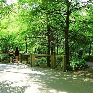 1904 Cypress Swamp Flight Cage
