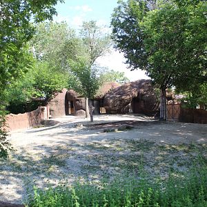 Bactrian Camel Exhibit - Red Rocks