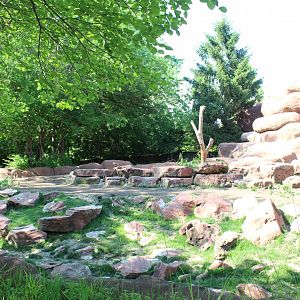 Sichuan Takin Exhibit - Red Rocks
