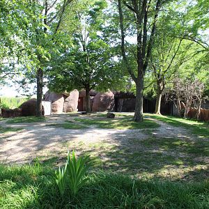 Okapi Exhibit - Red Rocks