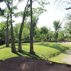 Giraffe, Lesser Kudu, Gerenuk & Ostrich Exhibit - Red Rocks