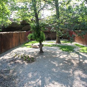 Speke's Gazelle Exhibit (One of Several) - Red Rocks