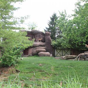 Urial Exhibit - Red Rocks