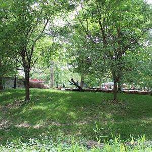 Addra Gazelle Exhibit - Red Rocks