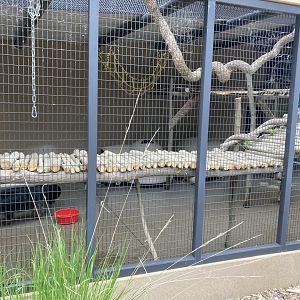 Binturong Exhibit (left half)
