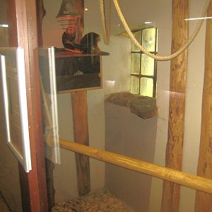 Odsherred Zoo - Monkey/reptile house - Example of monkey indoor exhibit