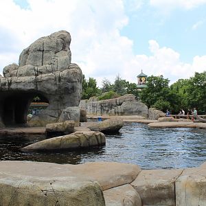 Sea Lion Sound (California Sea Lion & Harbor Seal Exhibit)